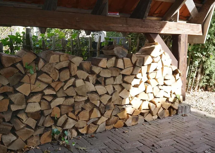 Saksisch Boerderijtje * Eibergen